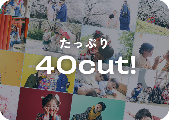 データ約40カットプラン