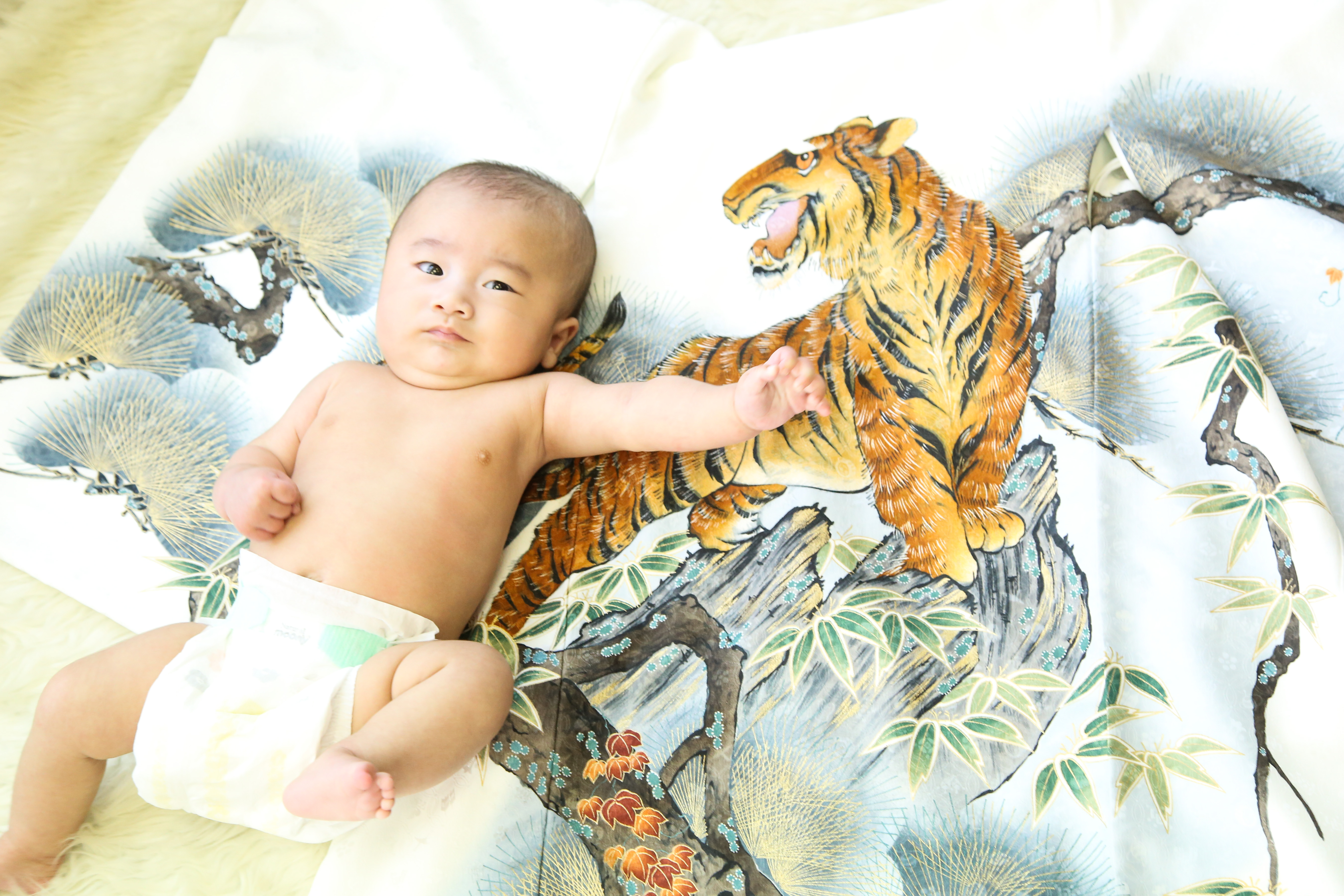 お宮参り・百日記念＞寝たり起きたり戦ったりするBABYフォト | フォト