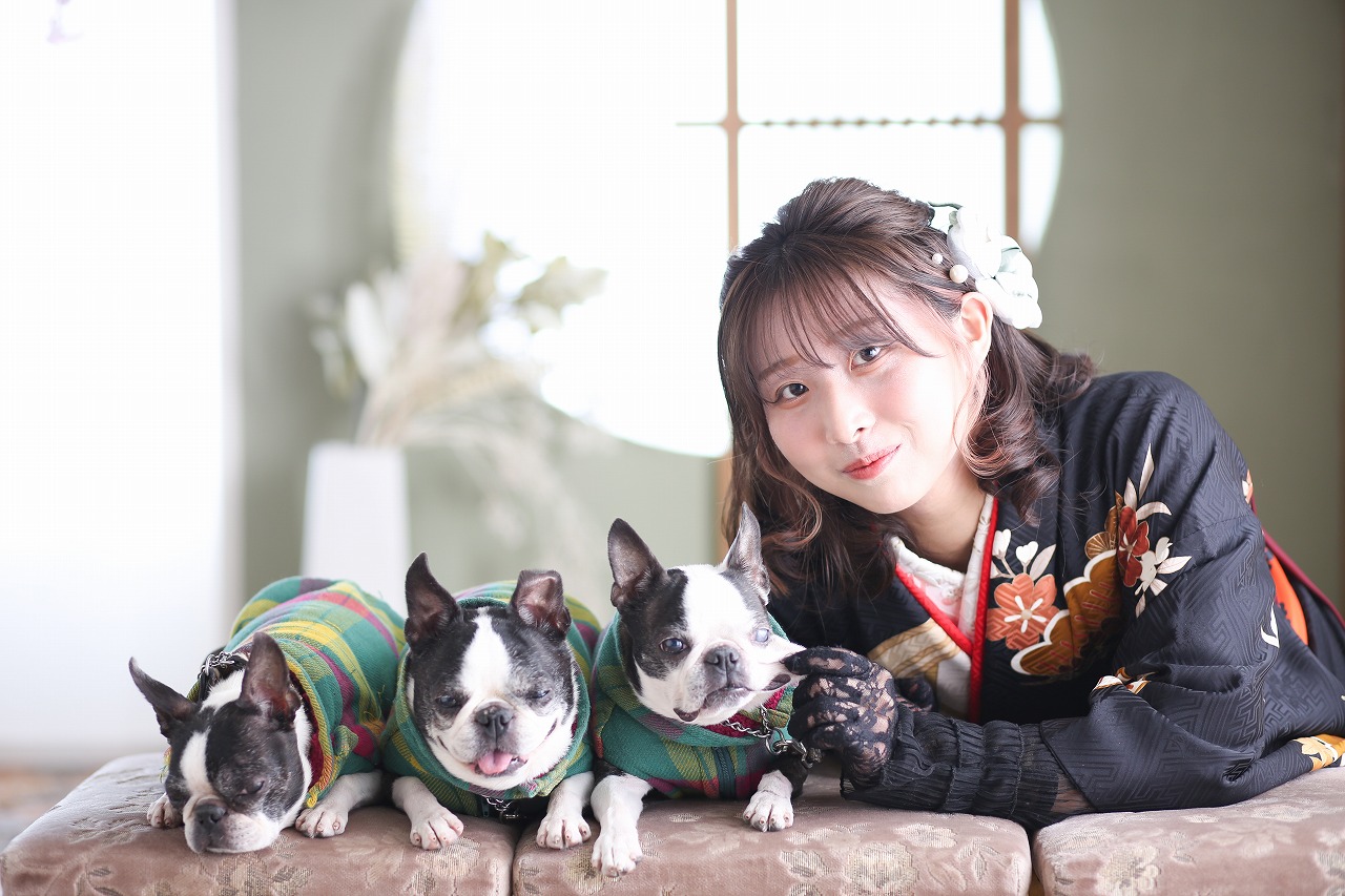 卒業袴＞あのチンギスが平井に＜ボストンテリア＞ | フォトスタジオKOWA