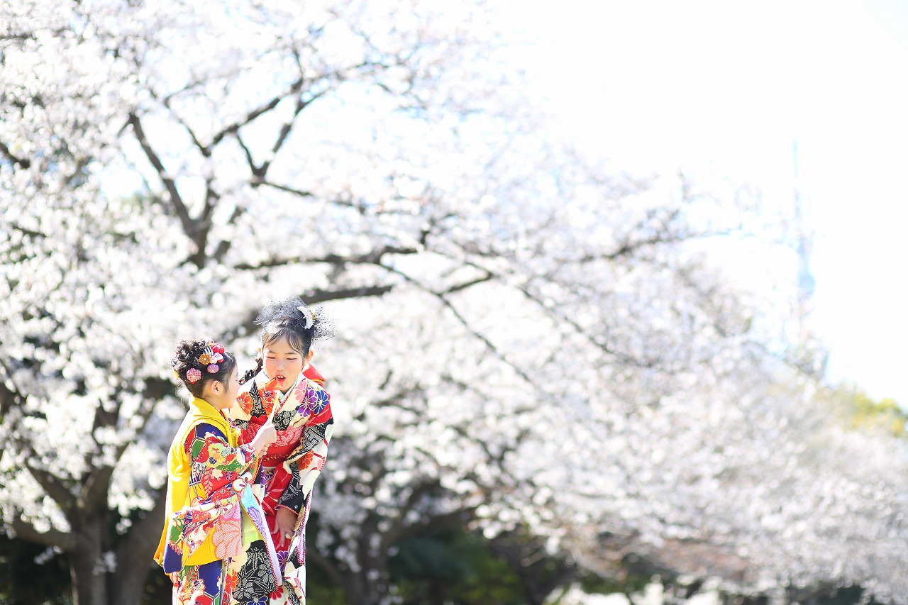 七五三＞来年の目玉はこれだ！＜桜ロケ＞ | フォトスタジオKOWA